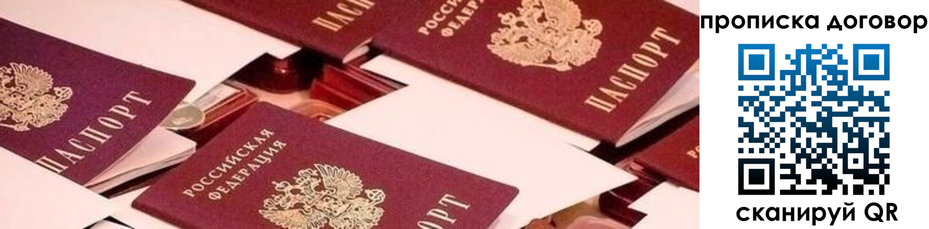 прописка для школы в Бабаево
